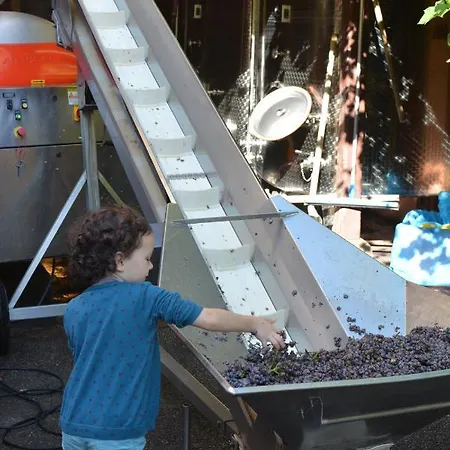 D'hotes Chez Caroline 3* Colmar