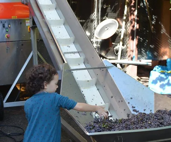 Chez Caroline Dans Un Havre De Verdure Et De Calme 3* Colmar