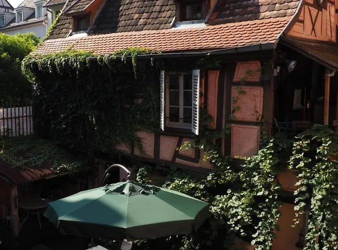 Chez Caroline Dans Un Havre De Verdure Et De Calme